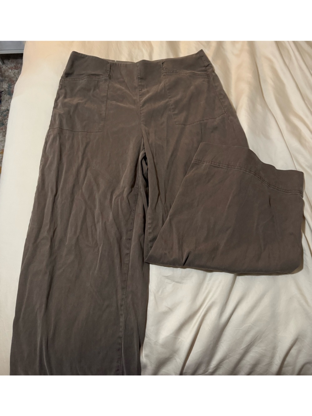 Joie Wide-Leg Pants in Taupe Brown